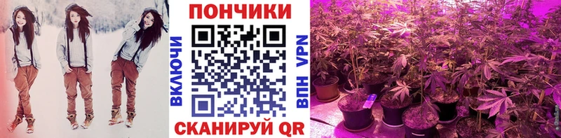 Как найти закладки Сусуман Галлюциногенные грибы  КЕТАМИН  ГАШ  Канабис  COCAIN  СК  Меф мяу мяу 