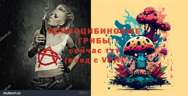 ГАЛЛЮЦИНОГЕННЫЕ ГРИБЫ Покров