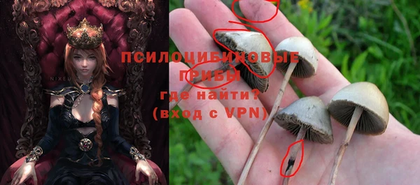 гашиш Пересвет