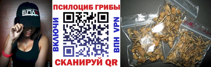 Псилоцибиновые грибы мицелий  Сусуман 